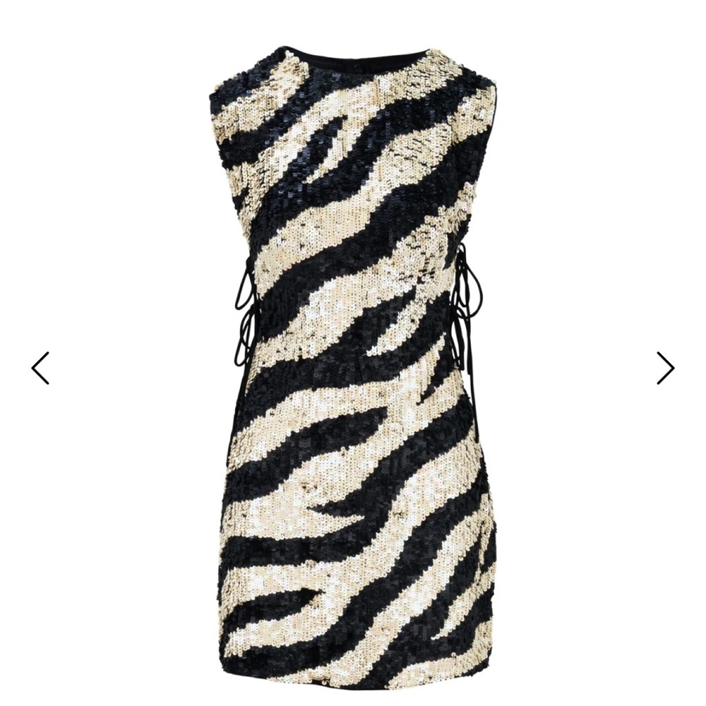 Raevynn sequin dress